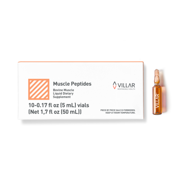 Muscle peptides