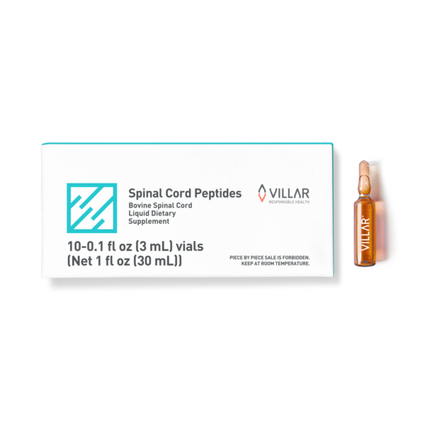 Spinal cord peptides